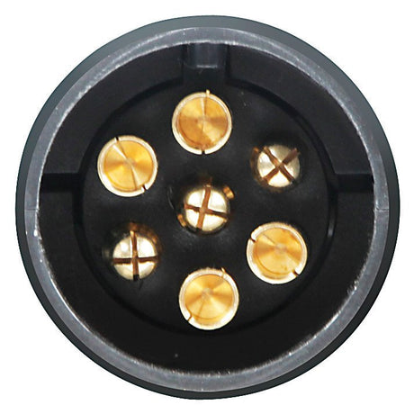 Lampa Tester per luci rimorchi, 12V 38979