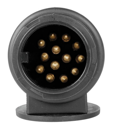 Lampa Adattatore 13<->7 poli con cablaggio da 40 cm 38991