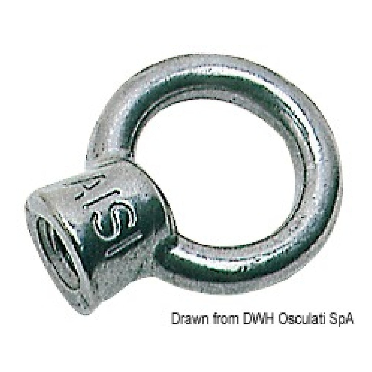 Osculati Golfaro femmina 39.306.06
