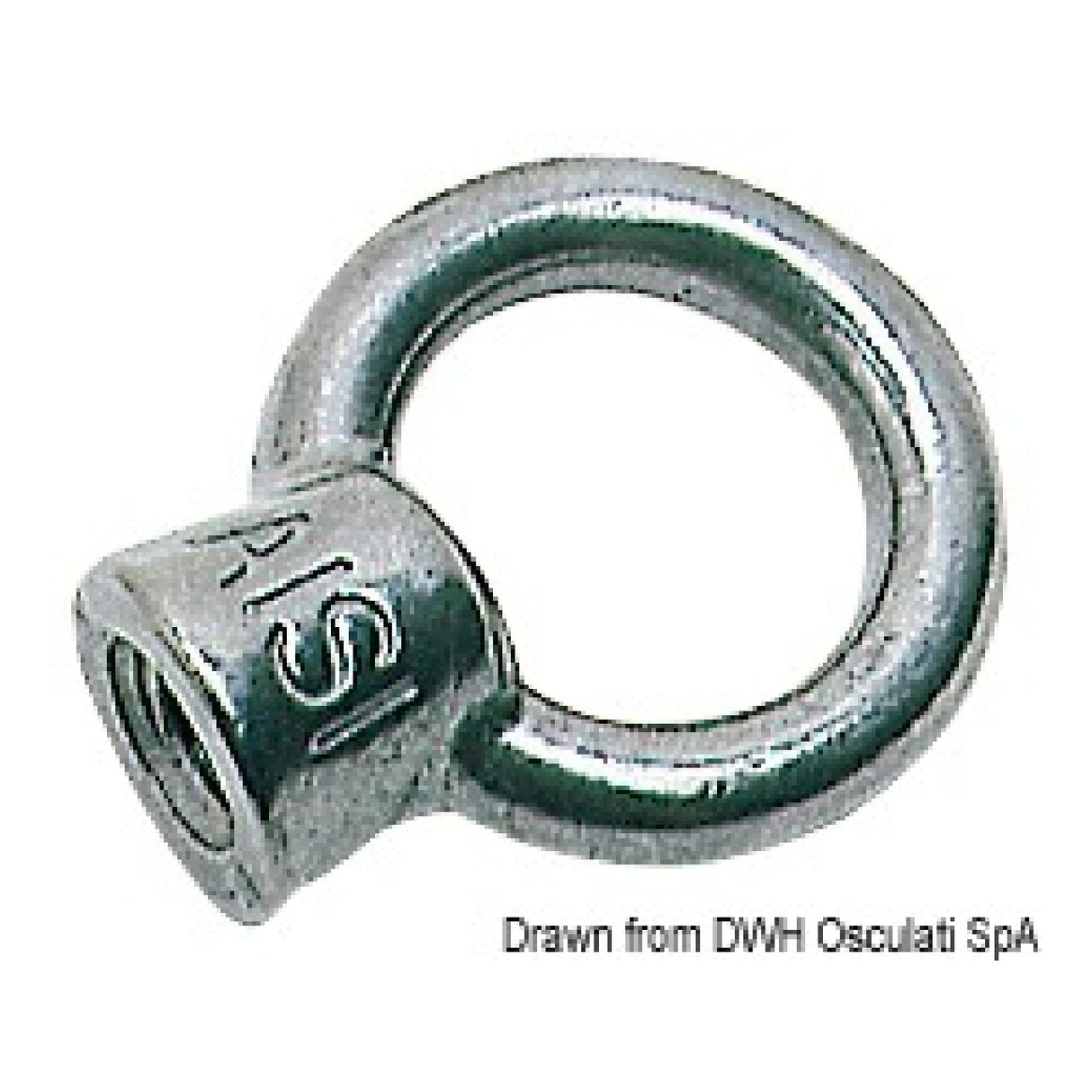 Osculati Golfaro femmina 39.306.06
