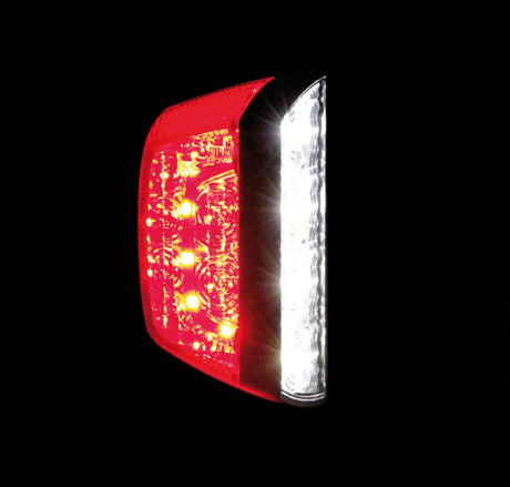Lampa Fanale posteriore a Led, illuminazione targa e luce di posizione, 12/24V 41481