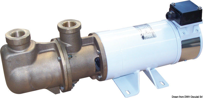 CEM elettromeccanica Elettropompa autoadescante monovite in bronzo 24V