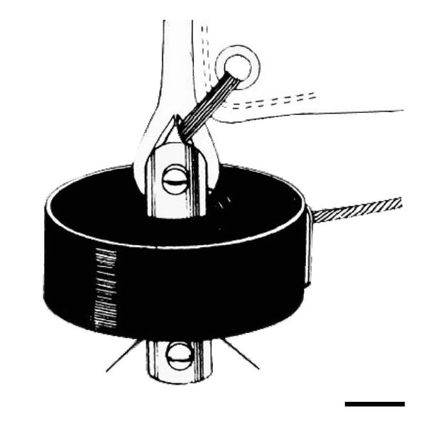 Nocken und Stopper