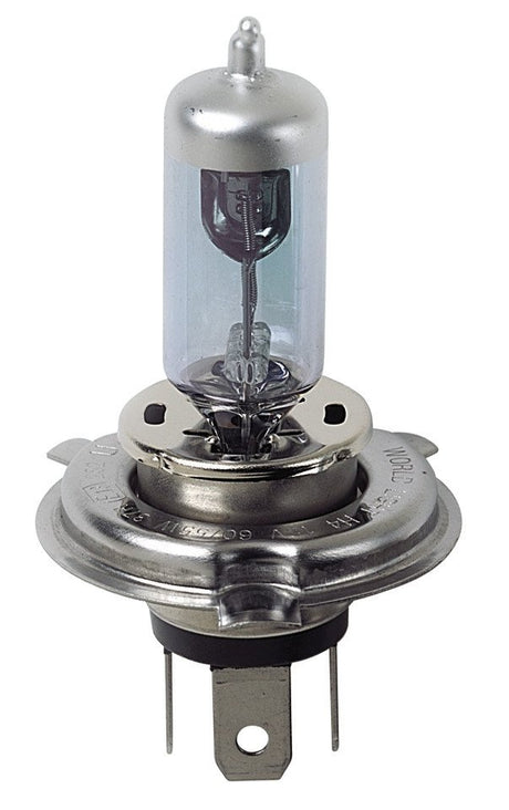 Pilot 12V Lampada alogena Xenon - H4 - 60/55W - P43t - 2 pz - Scatola Plast.