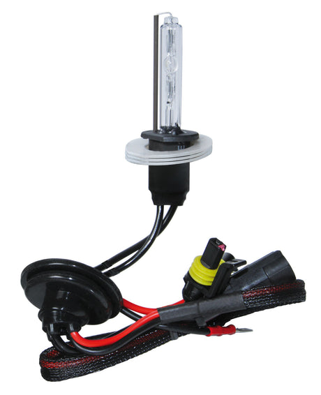 Pilot 12/24V Lampadina HID Xenon 6.000K - H1 - 1 pz - Scatola
