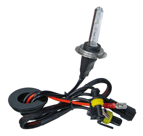 Pilot 12/24V Lampadina HID Xenon 8.000K - H7 - 1 pz - Scatola