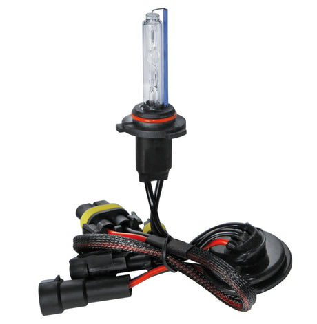 Pilot 12/24V Lampadina HID Xenon 8.000K - HB3 9005 - 1 pz - Scatola