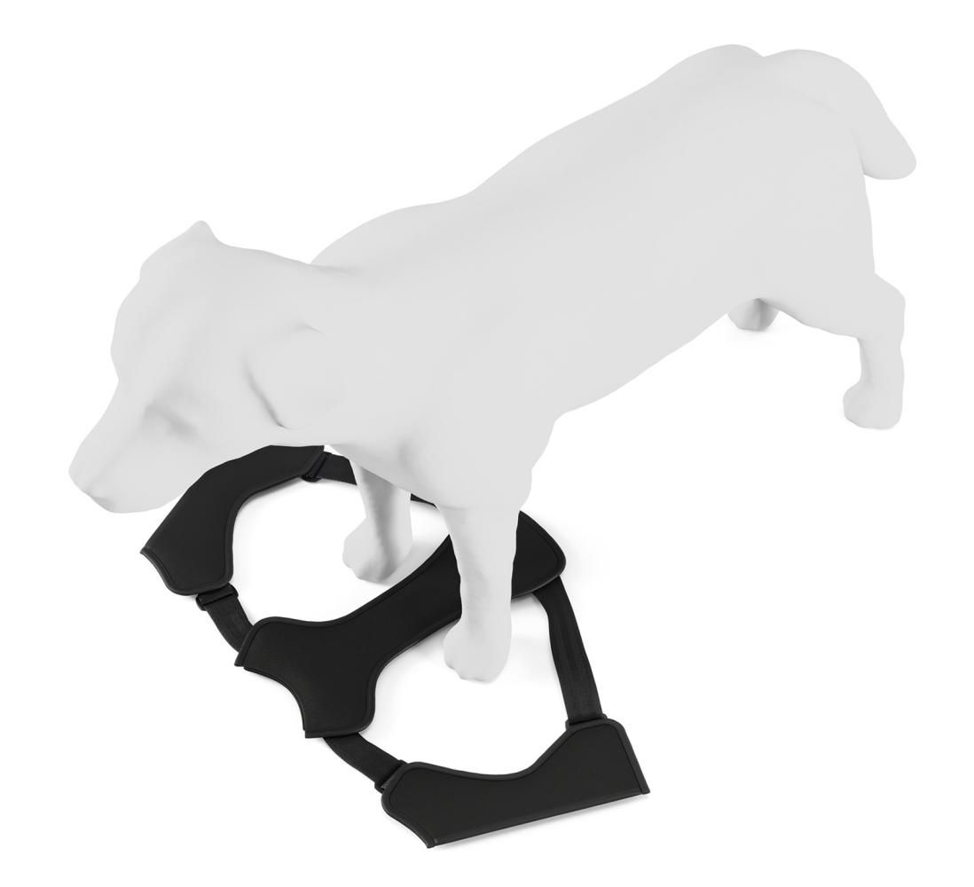 Thule Cappy Hundegeschirr M