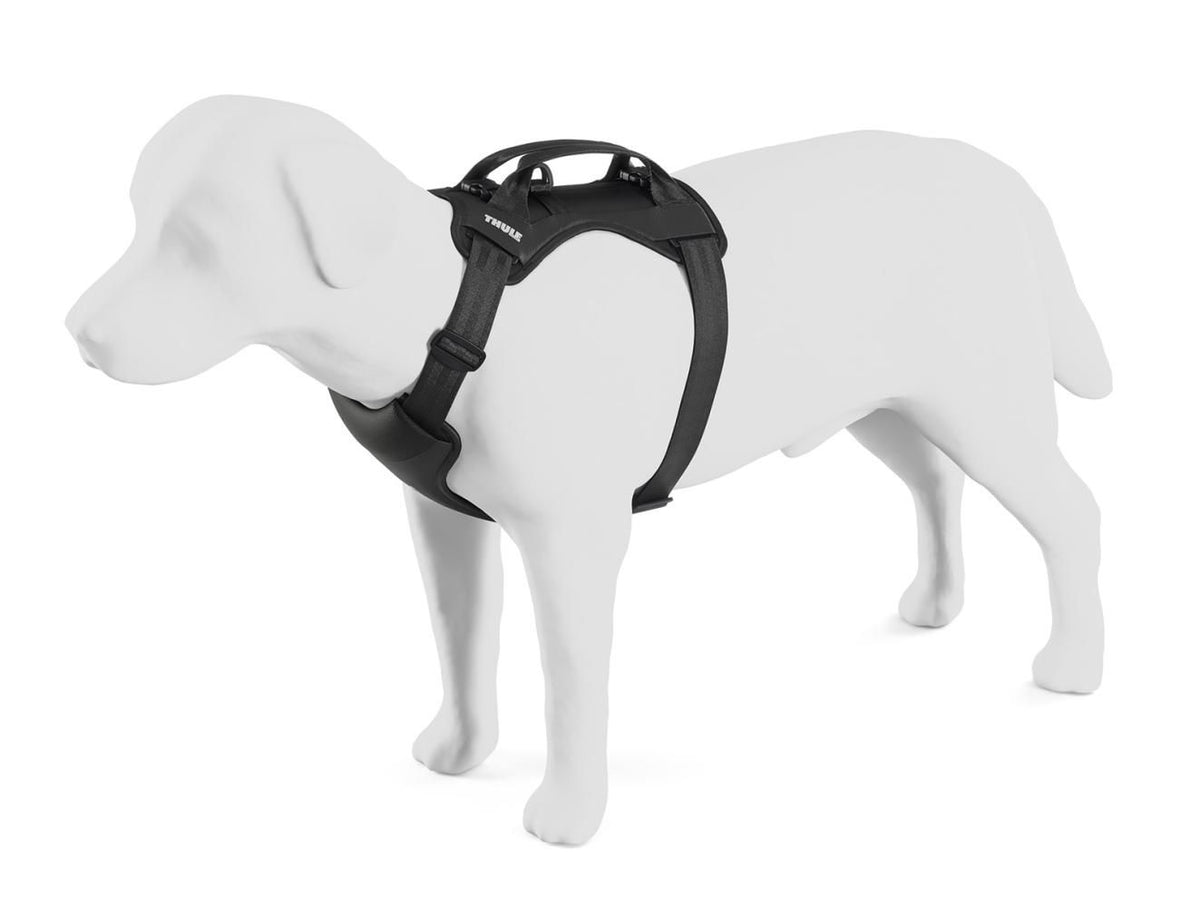 Thule Cappy Hundegeschirr L