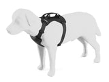 Thule Cappy Hundegeschirr L