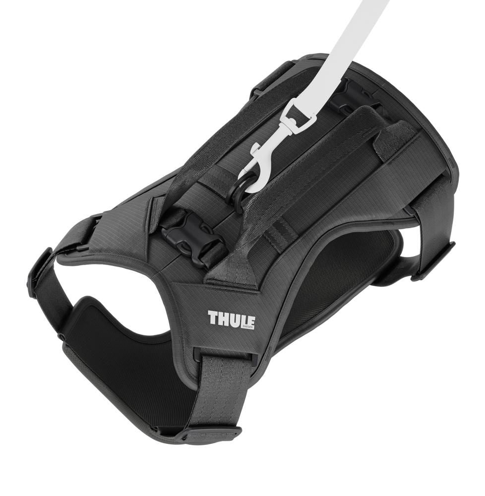 Thule Cappy Hundegeschirr L