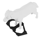 Thule Cappy Hundegeschirr L