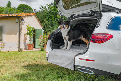 Lampa Pet Mat 3 in 1, lettino, tappeto baule e protezione paraurti 60457
