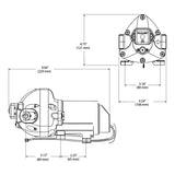 Flojet Pompa Autoclave Triplex