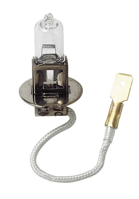Lampa 24V Lampada alogena Pro - H3 - 70W - PK22s - 1 pz - Scatola 97502