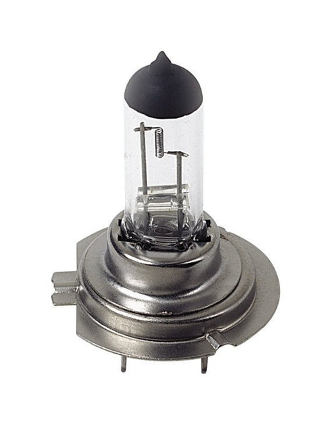 Lampa 24V Lampada alogena Pro - H7 - 70W - PX26d - 1 pz - Scatola 97504