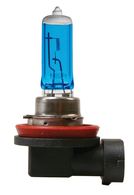 Lampa 24V Lampada alogena Blu-Xe - H11 - 70W - PGJ19-2 - 1 pz - Scatola 98290