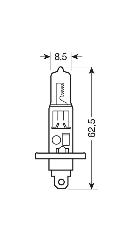 Pilot 12V Lampada alogena Blu-Xe - H1 - 55W - P14,5s - 2 pz - Scatola Plast.