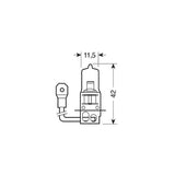 Pilot 12V Lampada alogena Xenon Plus +50% luce H3 55W PK22s 2 pz Scatola