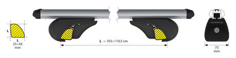 Rail-Pro coppia barre portatutto in alluminio L 127 cm N15036