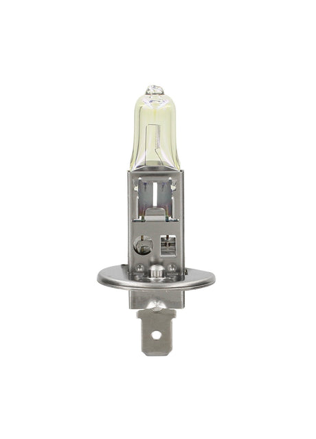 Osram Lampadina 12V All Season Super - H1 - 55W - P14,5s - 1 pz - Scatola