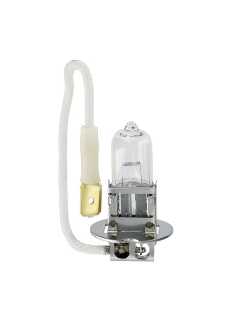 Osram Lampadina 12V Original Line - H3 - 55W - PK22s - 1 pz - Scatola