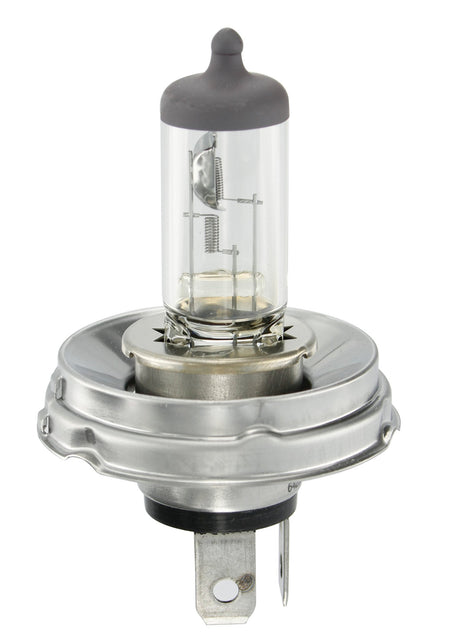 Osram Lampadina 12V Original Line - R2 - 45/40W - P45t - 1 pz - Scatola