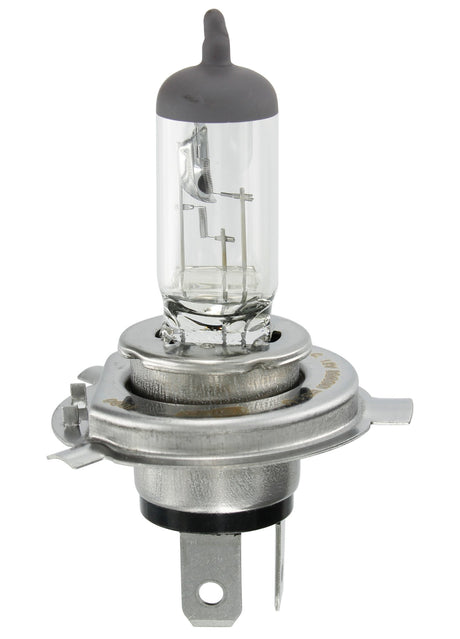 Osram Lampadina 12V Original Line - HS1 - 35/35W - PX43t - 1 pz - Scatola