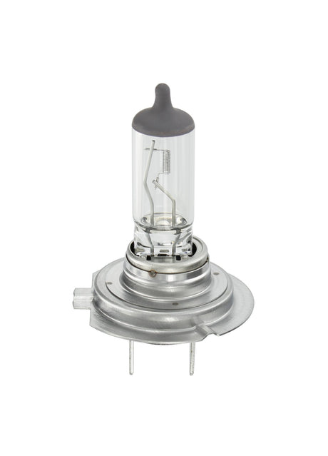 Osram Lampadina 12V Original Line - H7 - 55W - PX26d - 1 pz - Scatola