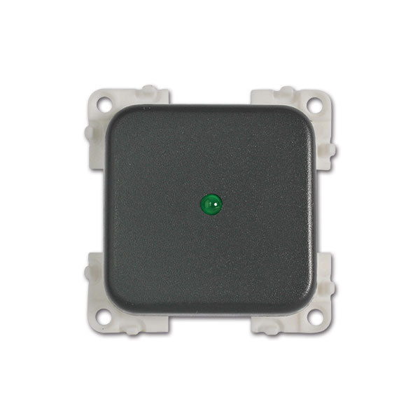 CBE 12V Schalter mit grüner LED, grau