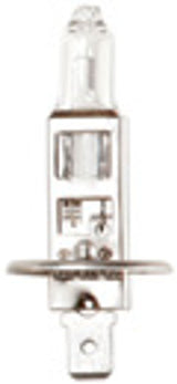 Bombilla halógena de anillo 12 V 55 W H1