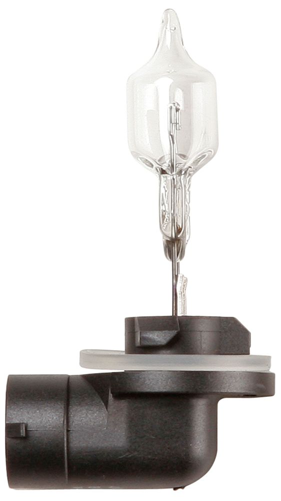 Bombilla de luz de anillo 12 V 50 W