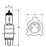 Ringbirne Import 12V 65/65W