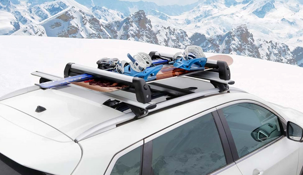 Auto-Ski- und Snowboardhalterungen