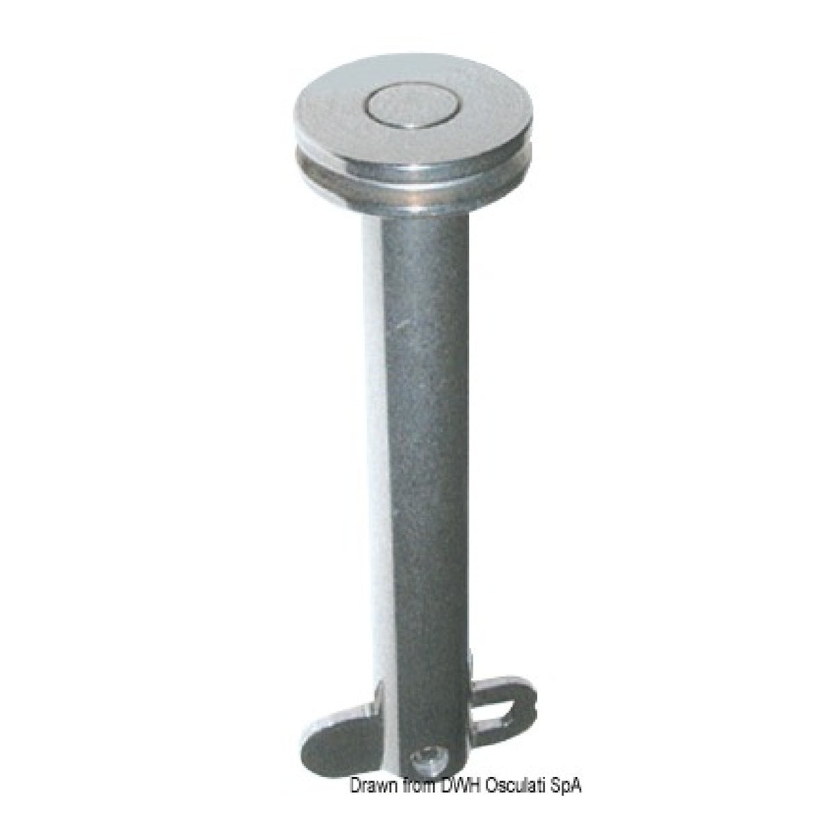 Spinotto inox 42 mm Ø 6 mm A