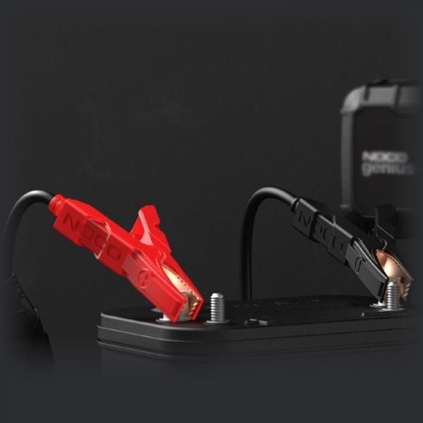 Noco Morsetti batteria HD con occhielli per GENIUSPRO25