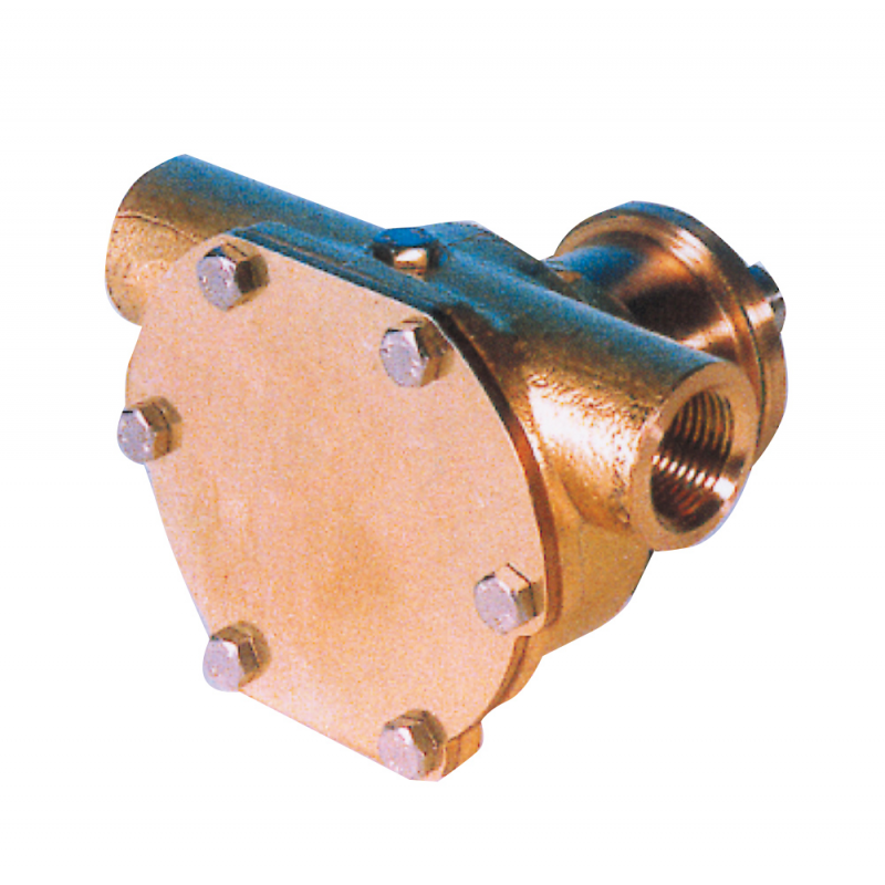 Ancor Pompa Autoadescante St135 2023 girante raffreddamento motore