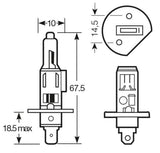 Ring Lampadina Extreme Quality 12V 55W H1