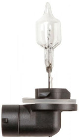 Bombilla de luz de anillo 12 V 50 W