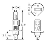 Ring Lampadine Xenon100 H1 12V 55W