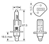 Bombillas de xenón de anillo 150 H1 12 V