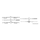 Ultraflex C8 Fernbedienungskabel
